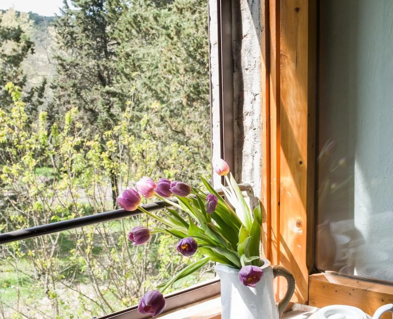 Farm stay I Pianelli Villa Murlo Italy